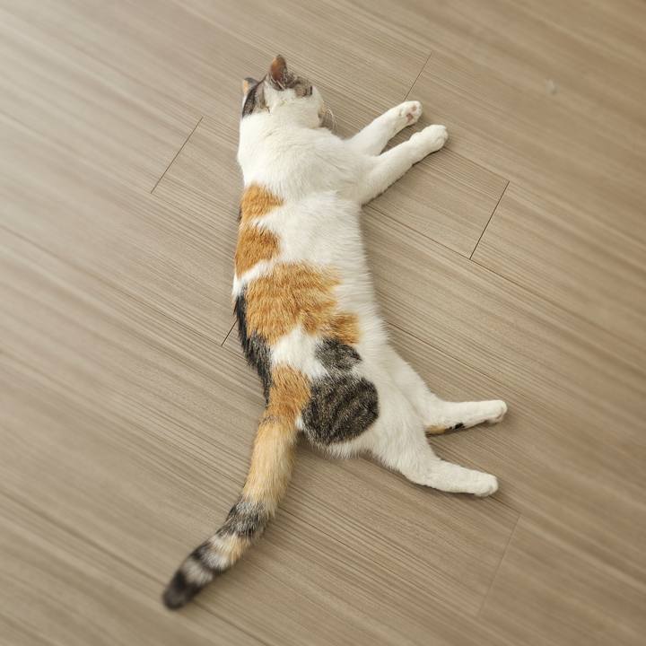 2aaca4c7 a45c 46e7 ba2d f7c45b266076 1773113333348