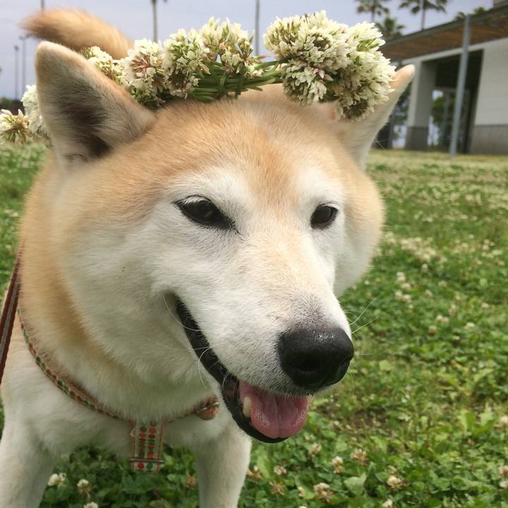 2aacb6d8 47a3 4687 8f4e a97bb9b64693 1604498072317