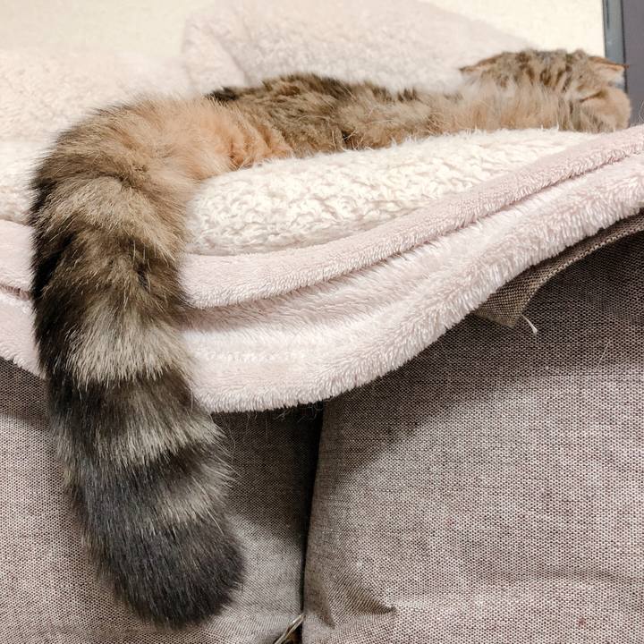 2aaceef7 fa22 451f 9bf8 fa97e299ed97 1580719001457