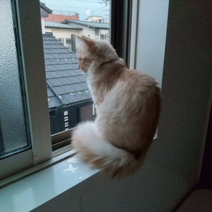 2aad1eda 8de6 44d7 b302 f978fa3c9e91 1617053117055