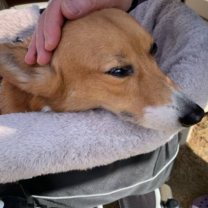 2aad3f44 4b1e 437e 8ce4 98a5387fa387 1676694510528