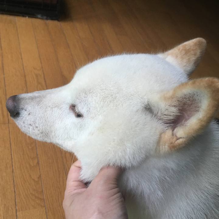 2aad4d5b 6cb5 4ebd 8e10 618303b13ce5 1533976950338