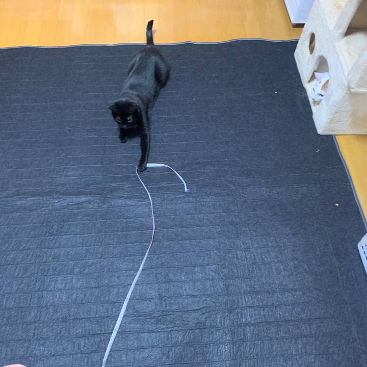 2aad5c8b 99e0 410f 851c 4628bfb42113 1663681068916