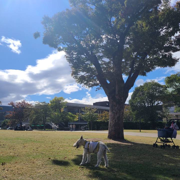 2aad607e 6e7e 4b50 b2c1 8d1a45ed1a81 1697886329117