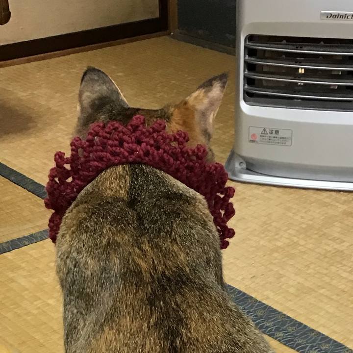 2aadf38e 4bcd 4659 a08d 860d487e551c 1614303495760