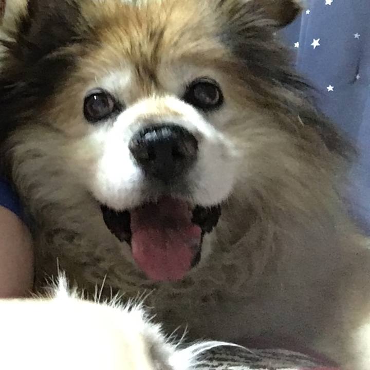 2aae7484 b737 48ad a792 8c0f6b61c2a6 1575917115193