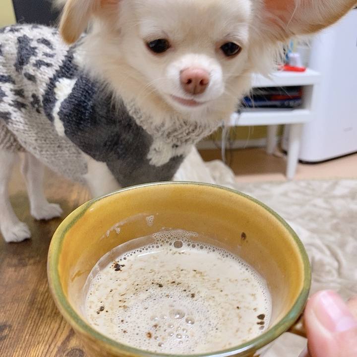 2aae7dc4 ac74 43f1 bb88 ce99843a725c 1610621313879