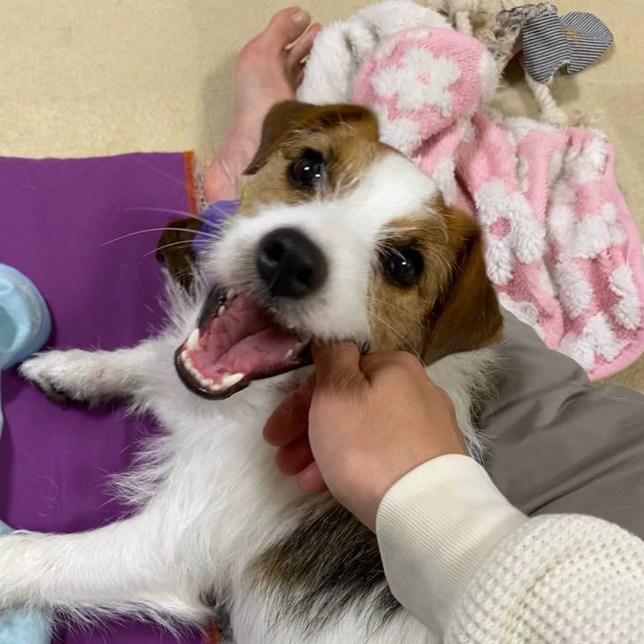 2aae9119 163d 42d0 aea5 baf54bb8846a 1650113013705