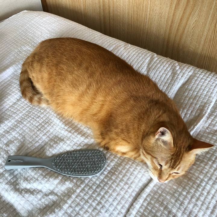 2aae9eb8 9b24 4631 abae 54f7791e8f22 1599354456779