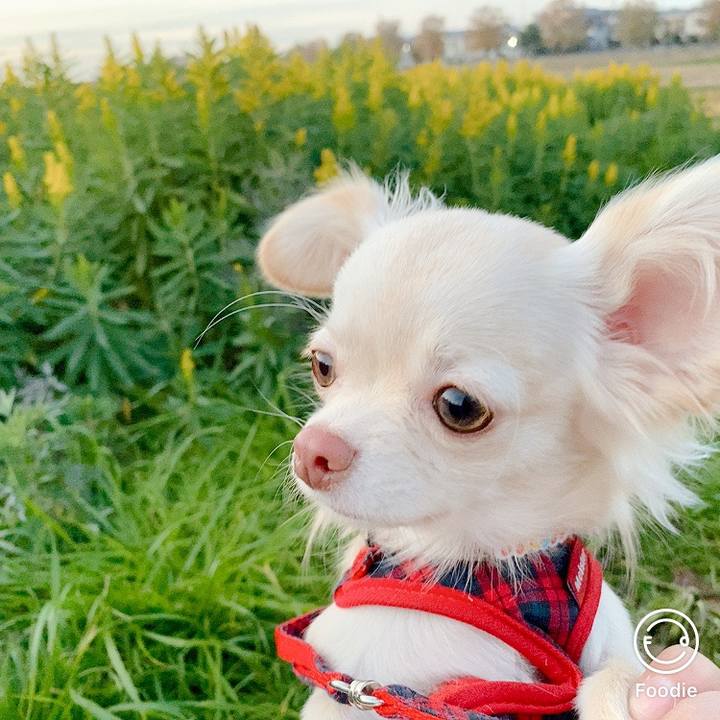 2aaea299 0755 4dbd a2ce 947bae3af57f 1607338412272