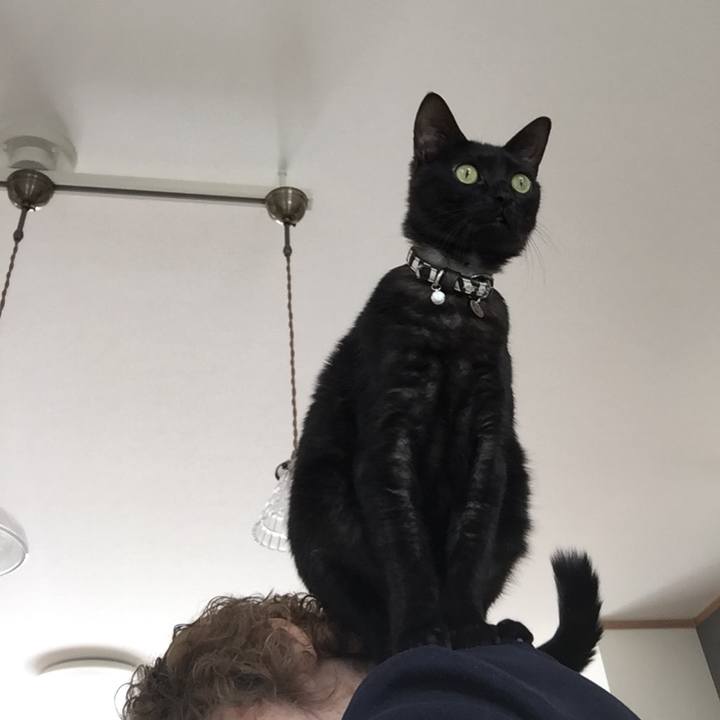 2aaeb6e6 74fc 4106 93a6 6ba3b6b03886 1513910682267