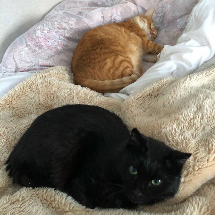 2aaf0521 3693 481d b798 62a1e7ecda79 1609743668140