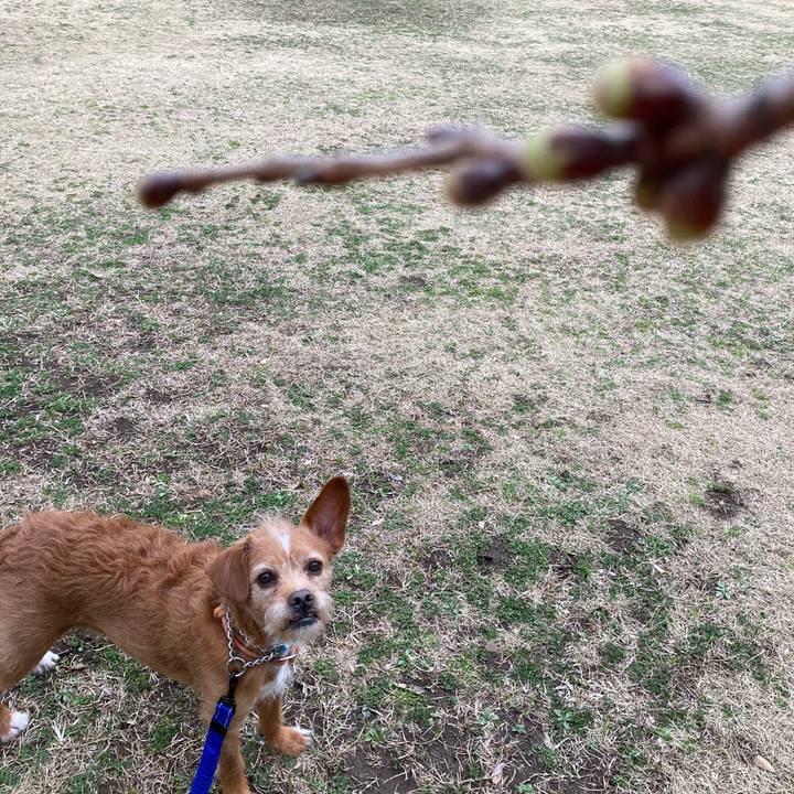 2aaf0da7 8e77 44e7 ac46 afc8cf23c85e 1615278241784