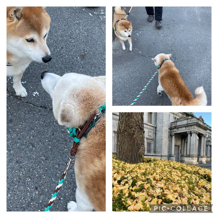 2aaf6d16 a9f8 4a97 a581 958f1970c4ef 1670051567618