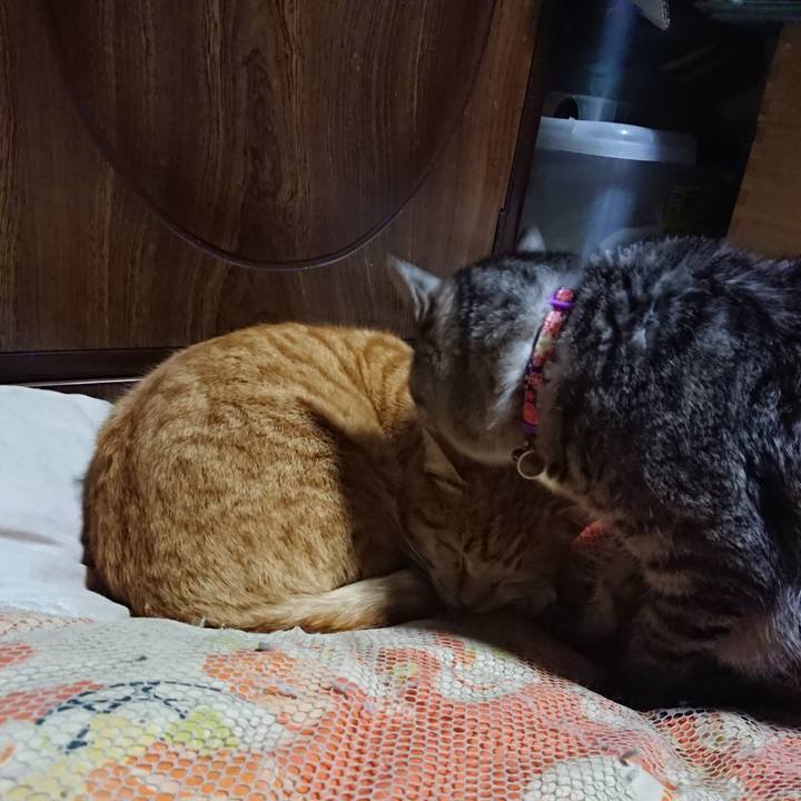 2aaf75a8 4151 4198 9e64 50acd96740bb 1584188994842