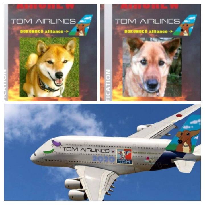 2aaf9cb4 bff9 43fa ba37 7e3080aad663 1597198763483