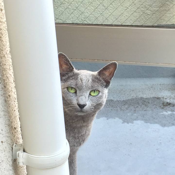 2aafa3e2 b730 47d2 9573 1411f1ce85d1 1537599692495