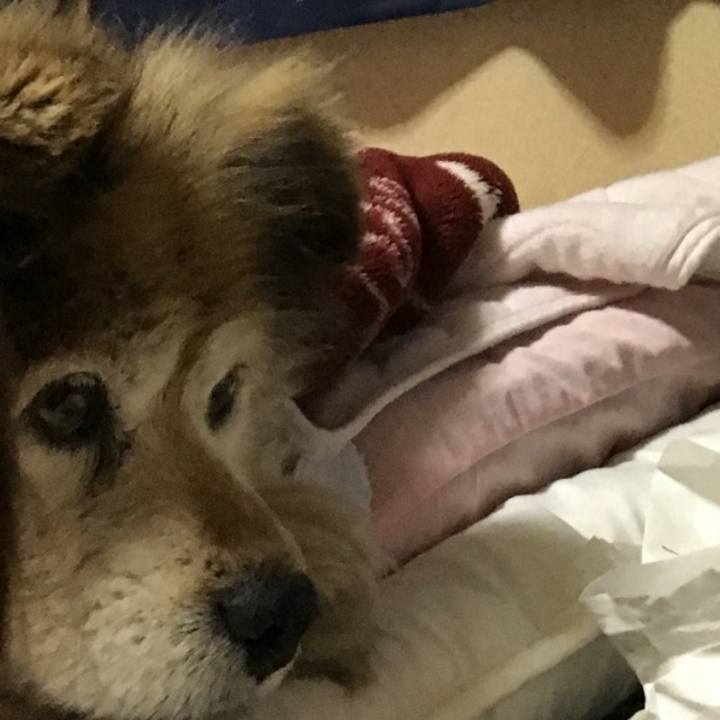 2aafbcf6 3acc 4388 9ea7 8f9bf10b68fe 1562405700874