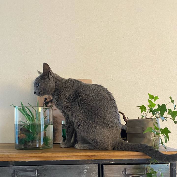 2aaffb05 9246 415c a5fc e2fac8674f09 1616652514997