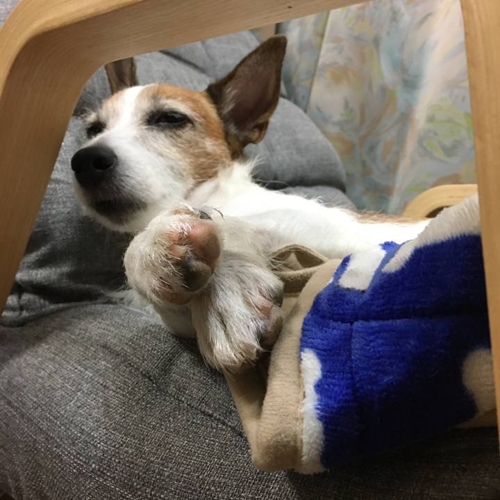 2ab009d6 6c57 4a0d 946e 43d14effe108 1632354913803