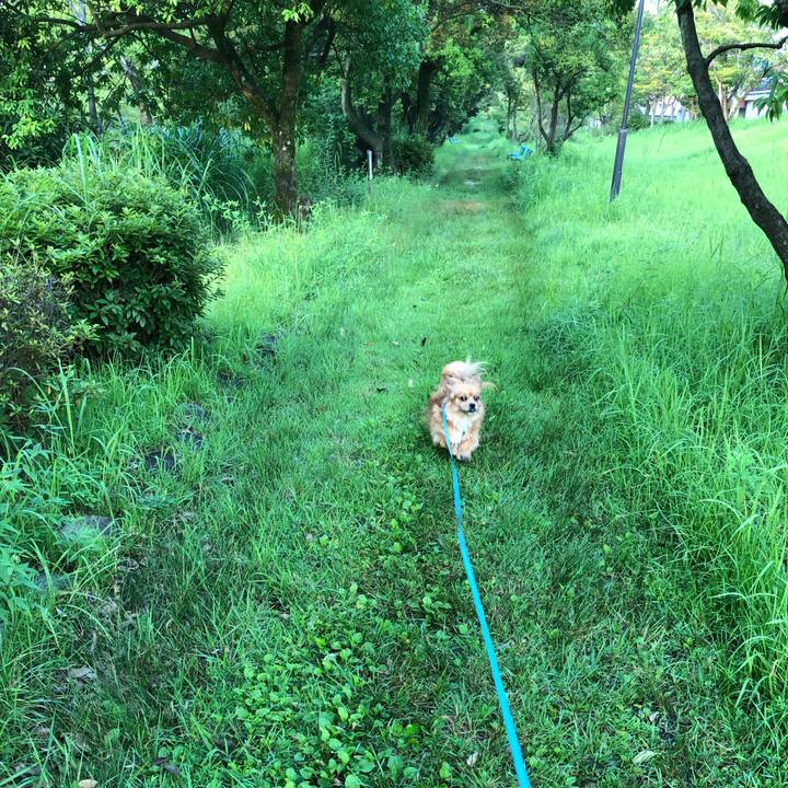 2ab02371 0ab4 4028 81b1 4709da3f68ae 1564003241275