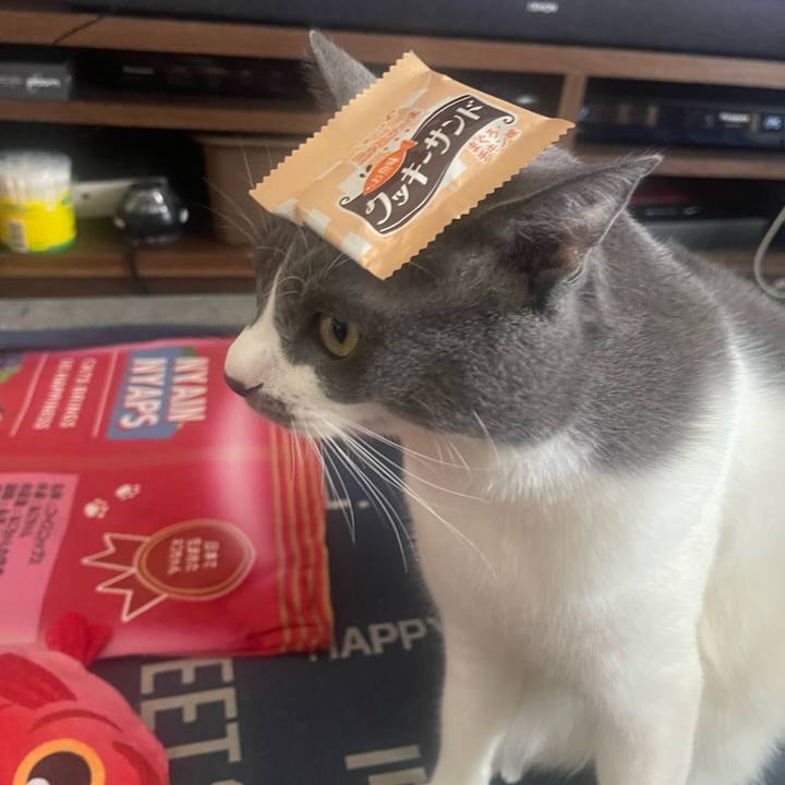 2ab04683 3972 4a48 8e12 eb5e82508a81 1723783743929