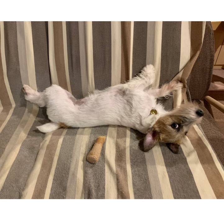 2ab06cf7 c3ca 46b8 85d6 a4d5b565db54 1599912061247