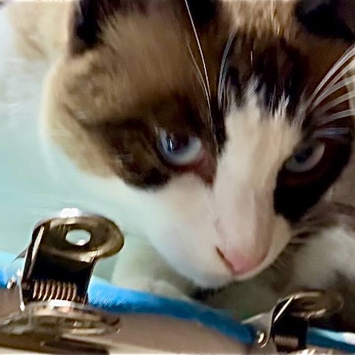 2ab0888e d2e8 488e b855 3b305322a750 1754476267360