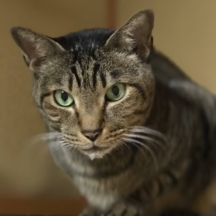 2ab095b2 18f9 424a baf9 d116b2053597 1517794811796