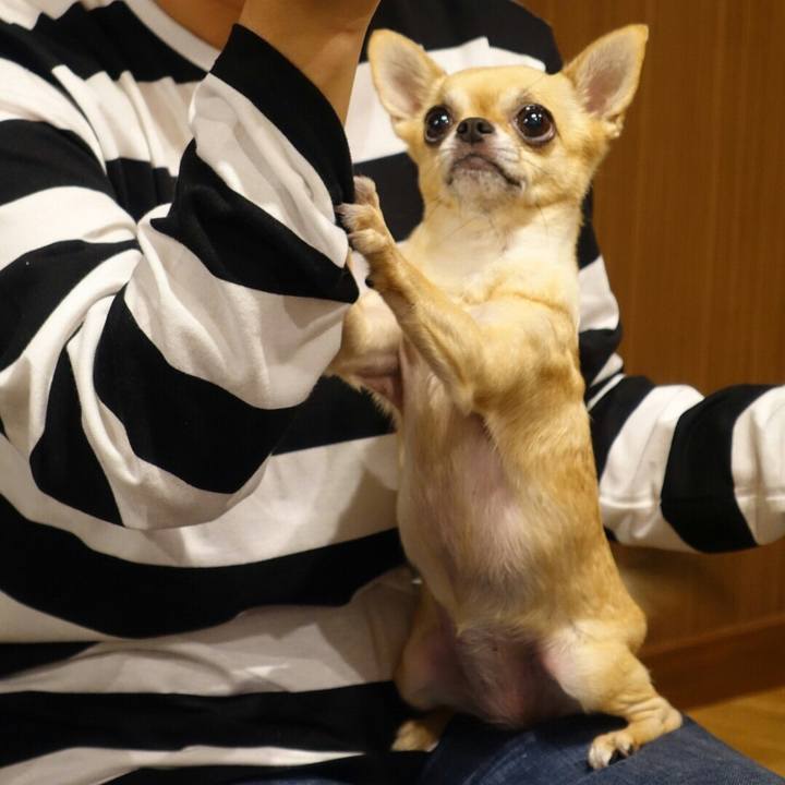 2ab0c4d4 ead5 420b a43e b836bf34f8f8 1508775025249