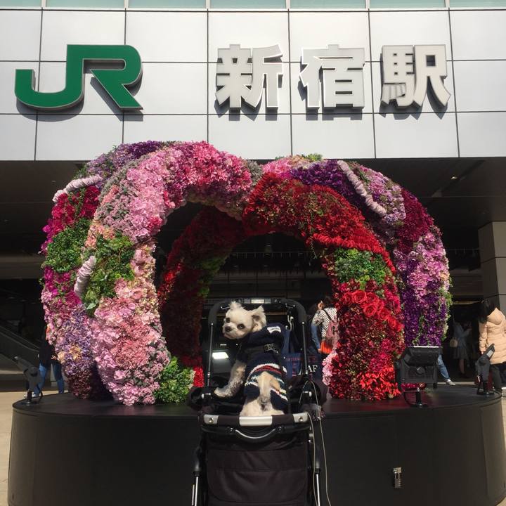 2ab0ca57 47c4 492c b665 0d95b1e422bb 1520066366096