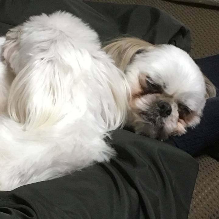 2ab117d0 e38c 464b 9e5d f78bda087637 1512130916969