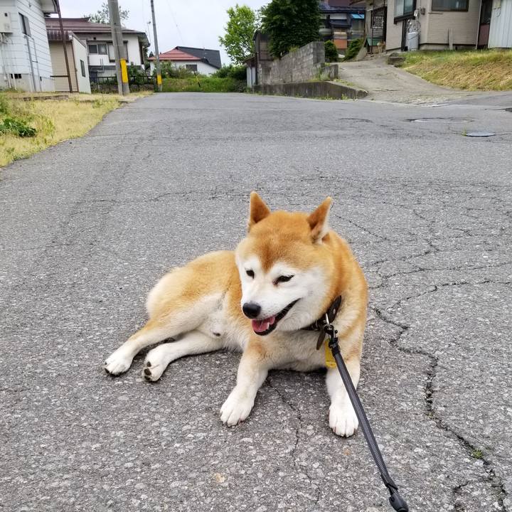 2ab183b1 26fb 4072 9fb3 cabe2ded21e0 1589789572329