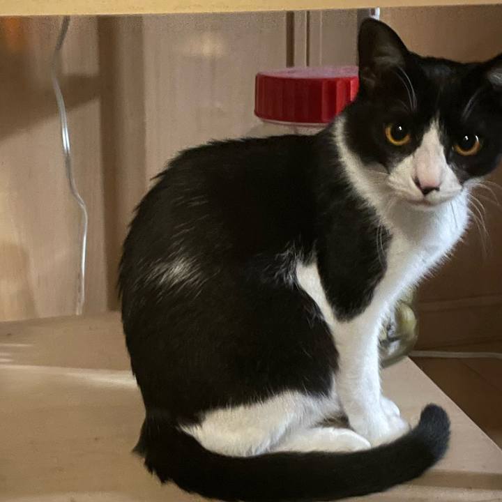 2ab18764 db57 4d19 a03c 8a3346d66c92 1686693142337