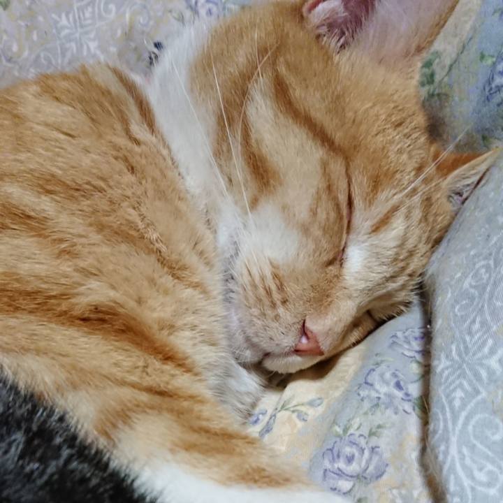 2ab19fab 224b 4db1 8918 f70967c3f134 1575378561351