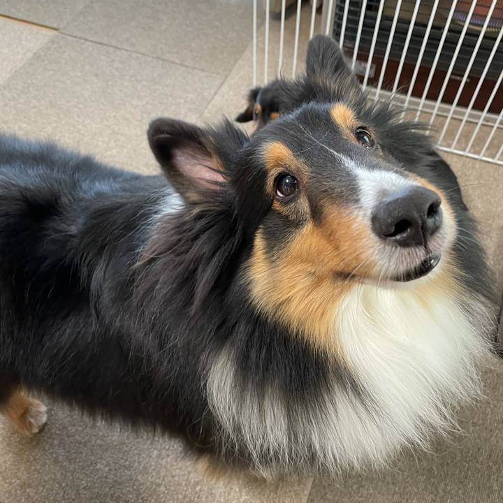 2ab1a8f2 b32a 443c a768 73ad03a7cf08 1614118211093