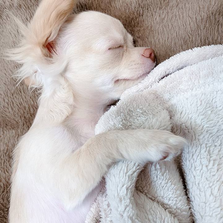 2ab1ab23 f2f1 497f 888f b5ffe20531dc 1593511581159