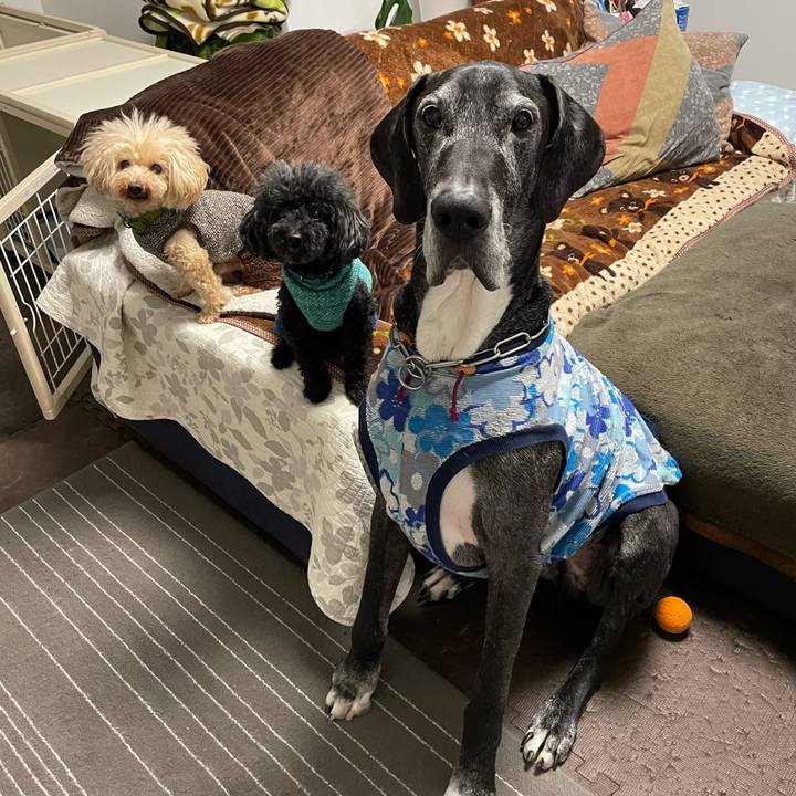 2ab1acc8 d4e9 46c5 9400 4d266020bf32 1611700533119