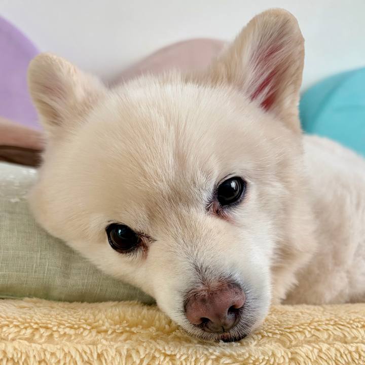 2ab1bc2f f121 42f3 b1d0 21ebc2bb9304 1767163572832