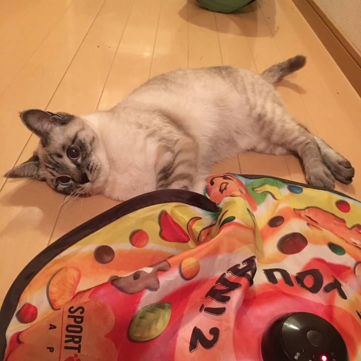 2ab1bcf5 84f6 4d87 b7c0 fab1e6867f03 1551967757438