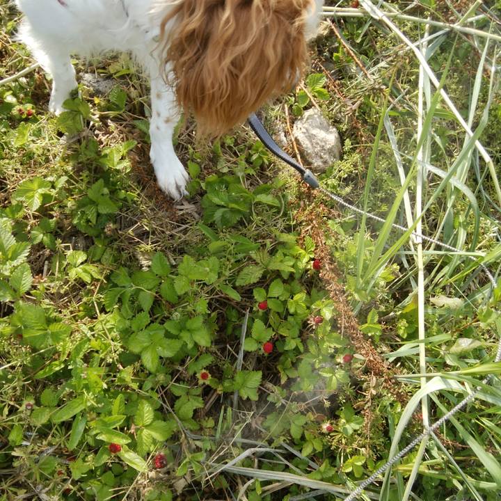 2ab1d551 2c3a 401f b929 c72893bd8d92 1526083075714