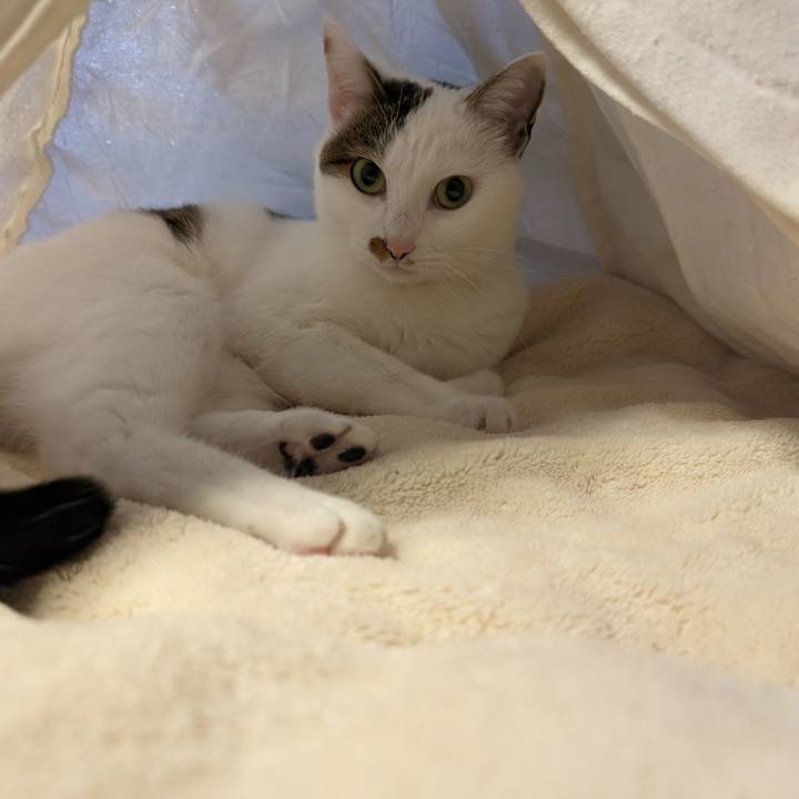 2ab1e6e9 2704 45f5 be2e 3054531a6676 1704028504322