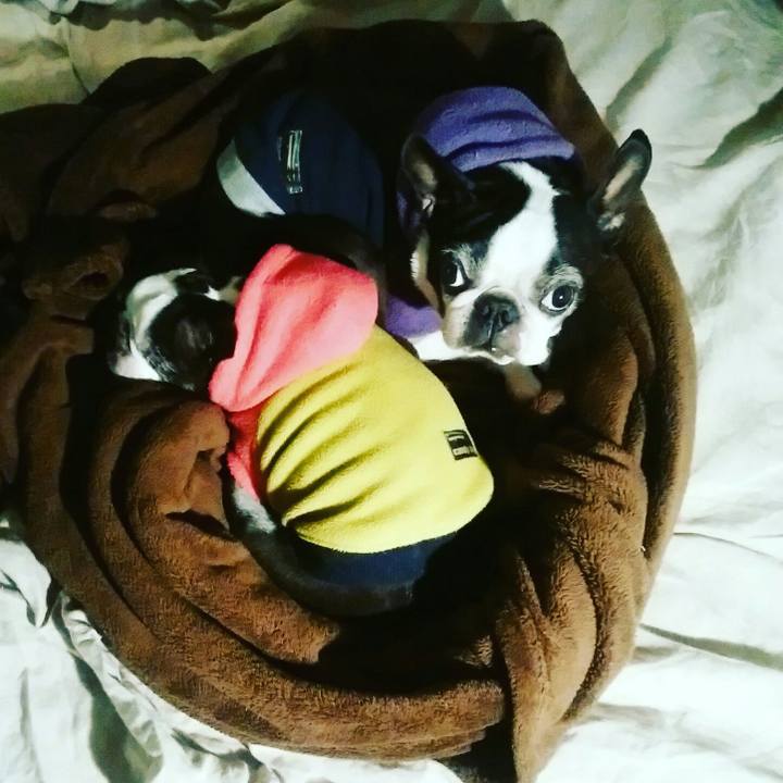 2ab258b7 96da 432e 8472 5c5f440c0897 1518372457142