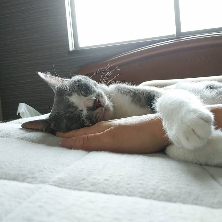 2ab2831d fe9c 4268 8abb a226a073f2cd 1593488202785