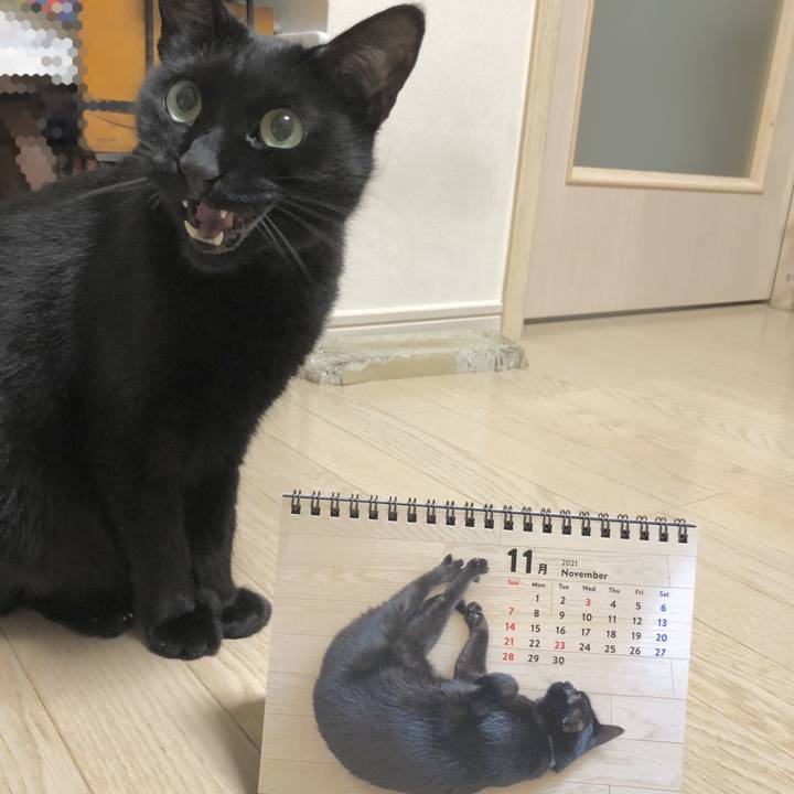 2ab2a8ab 9d5f 43b3 9326 584d407ee1ec 1637412669917