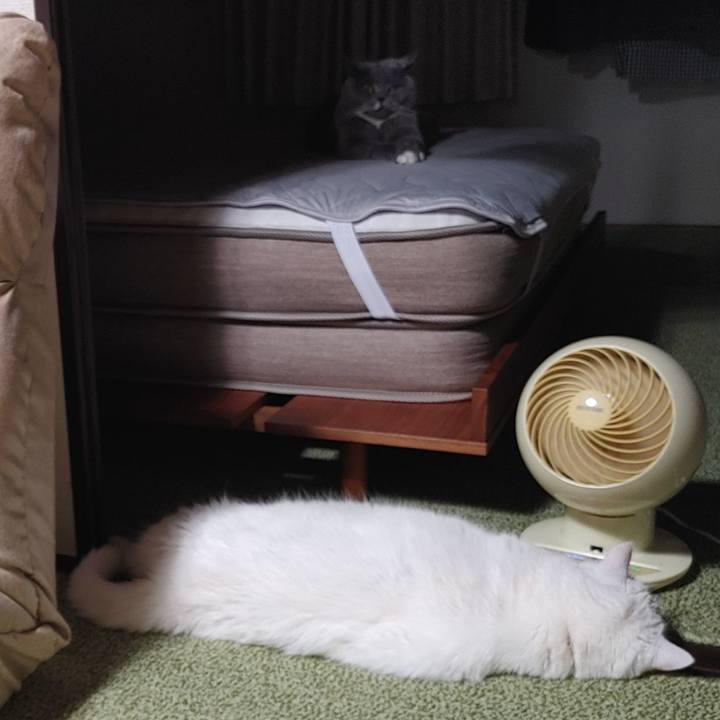 2ab2e395 4fbb 4e3e a2f5 646db2241182 1692375791621