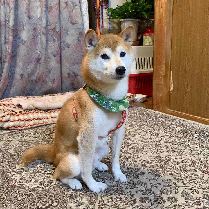 2ab30a8a 3d4e 4e4f 88c8 9693fe2fc39c 1634984435760