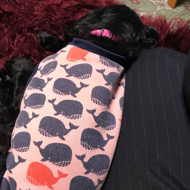 2ab30c86 ccb2 4f05 b751 c9cdb94ed8e0 1519312194809