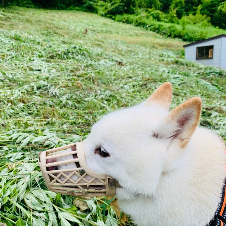 2ab31785 2ff3 4324 8889 bc8046c4ca8c 1625955162769