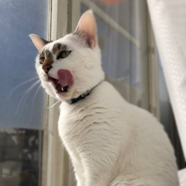 2ab36a36 f180 4e76 9fd1 b3e6597f8ce4 1546567691626